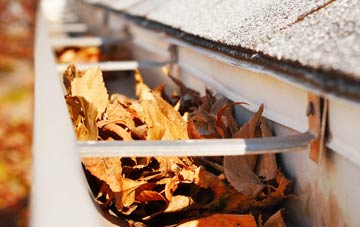 Somerwood gutter cleaning companies